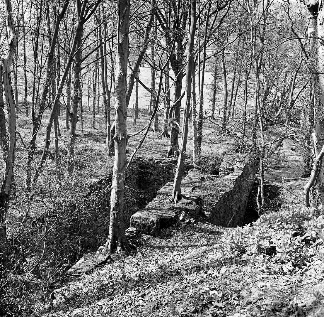 Maeshafn double wheelpits 15.4.1974